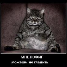 prekrasnuy