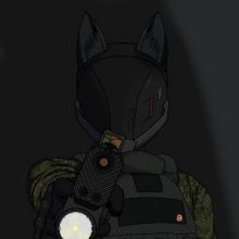 prospacedog