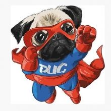 pug.fly