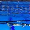 purplesswimming
