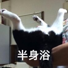 pypy0w0