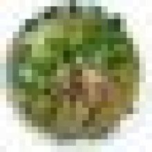 qh2eymnk