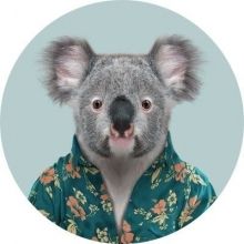 queenslandjp