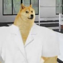 quimicacheems