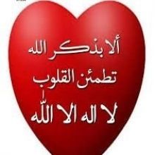 qyl.ans