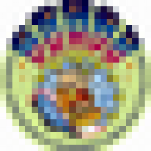 raapa1