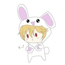 rabits.alice