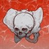 rander.gorilla