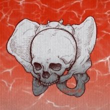 rander.gorilla