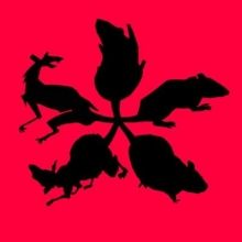 rattusrattusart