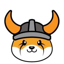 realflokiinu