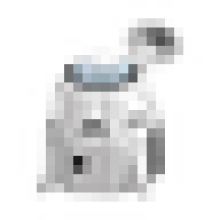 realricie