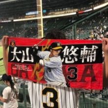 red03tigers