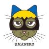 reineminorucats
