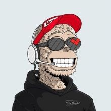 rexnftcrypto