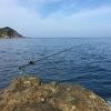 rfishingholic