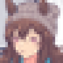 ri.cc.o
