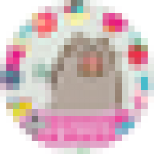rin.4746