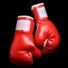 ringsidezone