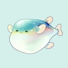 rond.blowfish