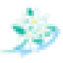 ryotamaki.staff