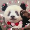 saixiang