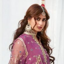sajalaly.arab