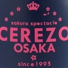 sakura08168