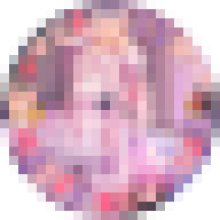 sana1210