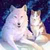 satsukifox1225