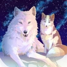 satsukifox1225