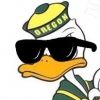 scoduckz