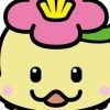 sdhigashi