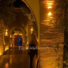 seda.escort