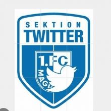 sektiontwfcm