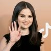 selena.land