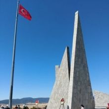 selkisaray43