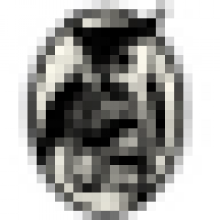 sentinelcreativ