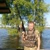 sereser33134184