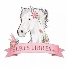 sereslibres.mx