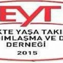seyda.ercan534