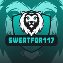 sfor117