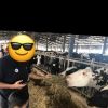 shalevgreenber1
