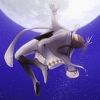 shamu.y