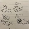 shark.k