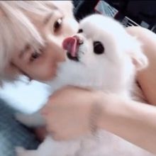 shfly3424