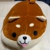 shiba.box1109