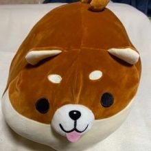 shiba.box1109