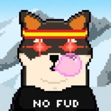 shibspain