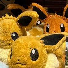 shinn.pokego